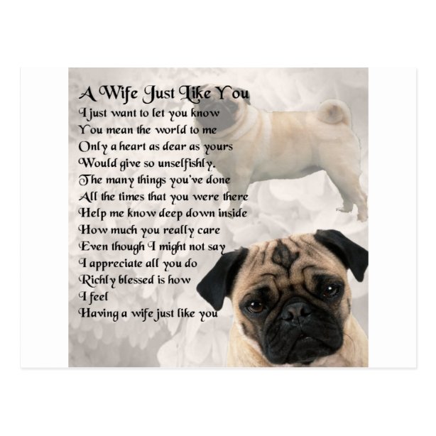 Gedicht Hund Poster Zazzle.ch