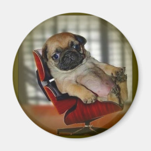 Mops es! magnet