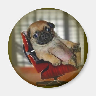 Mops es! magnet