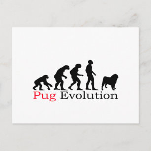 Mops Evolution Postkarte