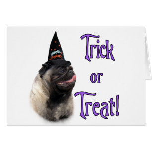 Mops (fawn) Trick