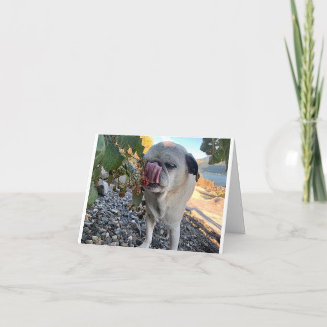 Mops Geburtstag lustig Karte (Vorderseite)