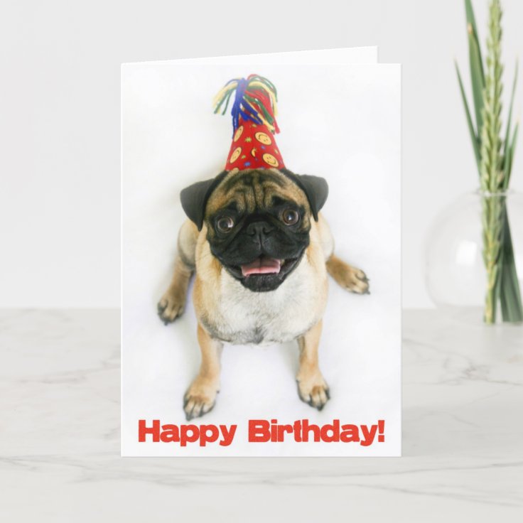 MopsGeburtstagsKarte Karte Zazzle.ch