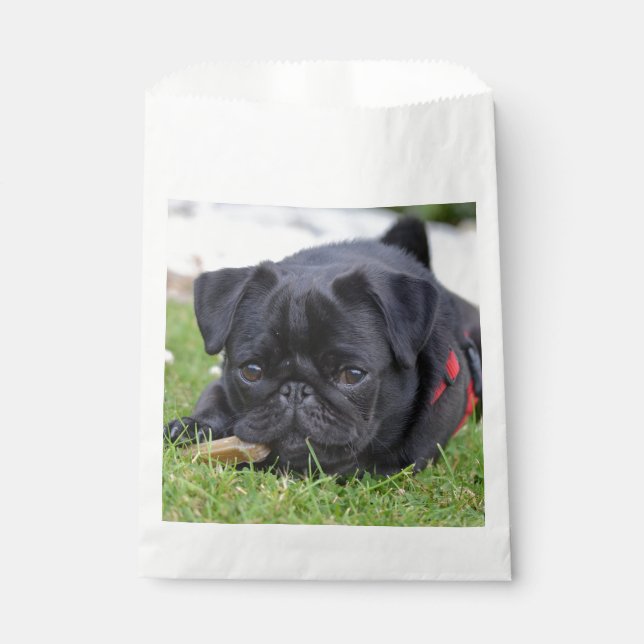 Mops Geschenktütchen (Vorderseite)