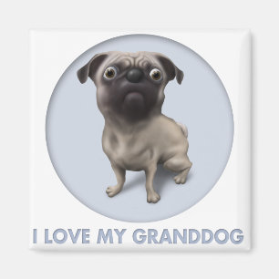 Mops Granddog Magnet