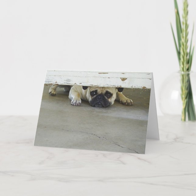 Mops-Gruß-Karte spähend - löschen Sie nach innen Karte (Vorderseite)