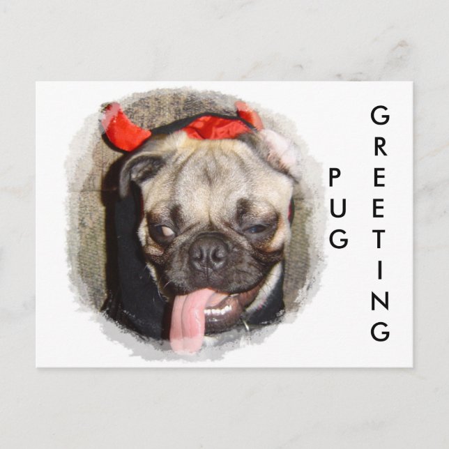 Mops Gruß Postkarte (Vorderseite)