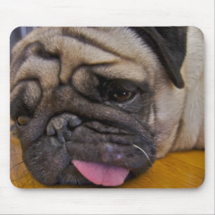 Mops hatte eine zu viele Mausunterlage Mousepad