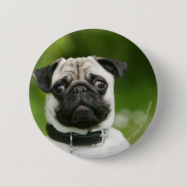 Mops Headshot Button (Vorderseite)