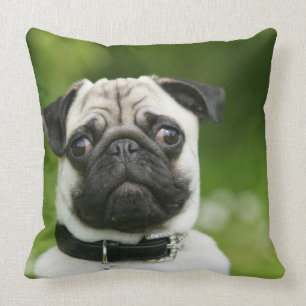 Mops Headshot Kissen