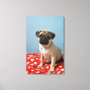 Mops-Herz-Welpe Leinwanddruck
