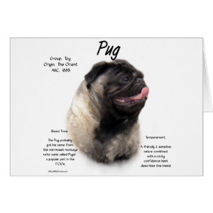 Mops History Design