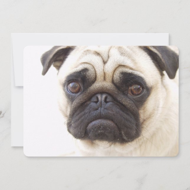 Mops Hund Einladung (Vorderseite)