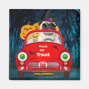 Mops-Hund fährt Auto Gruselig Halloween Magnet