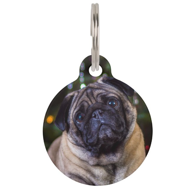 Mops Hund. Haustiermarke (Vorderseite)