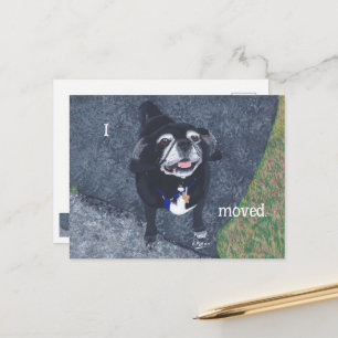 Mops-Hund neue Adress-Postkarten Postkarte