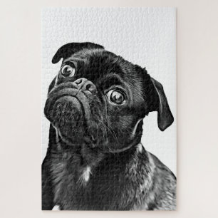 Mops Hund Puzzle