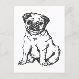Mops-Hund, Schwarz-Weiß-Abbildung Postkarte