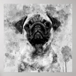 Mops-Hund Schwarz-Weiß-Aquarell 01 Poster