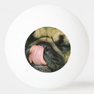Mops-Hund Tischtennisball