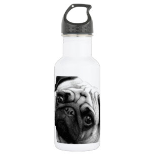 Mops-Hund Trinkflasche