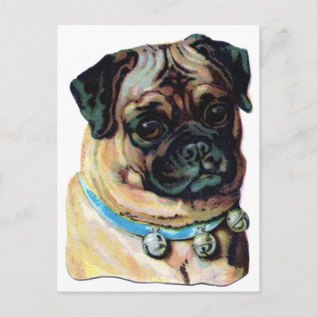 Mops-Hund Vintage Postkarte (Vorderseite)