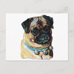 Mops-Hund Vintage Postkarte