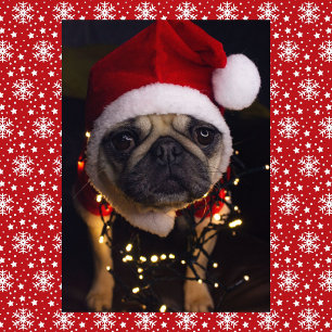 Mops-Hund Weihnachten Personalisierte Unterschrift