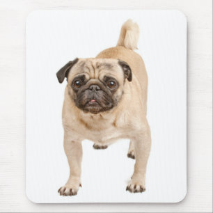 Mops-Hund-Welpen-Mauspad Mousepad