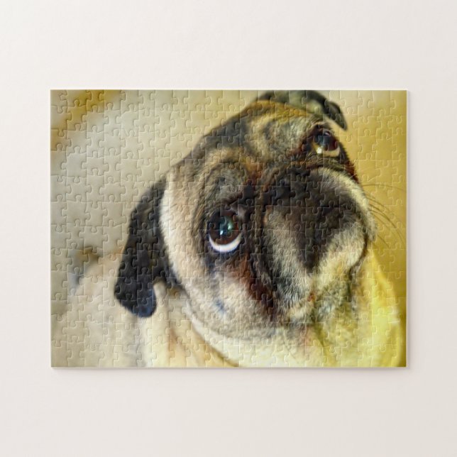 Mops Hunde. (Horizontal)