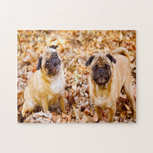 Mops-Hunde.