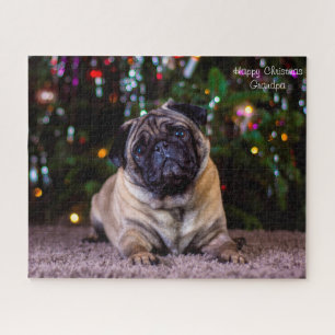 Mops-Hunde.