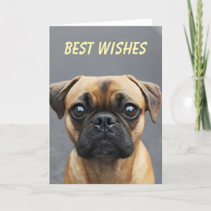 Mops Hunde Feiertagskarte