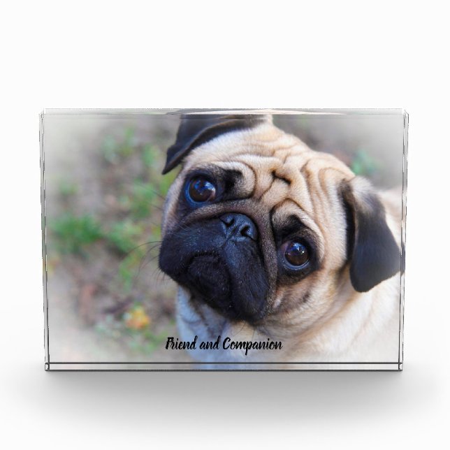 Mops Hunde Fotoblock (Vorderseite)