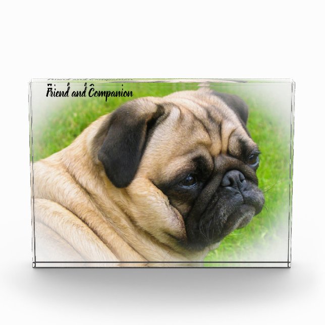 Mops Hunde Fotoblock (Vorderseite)