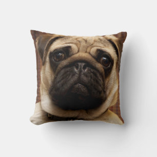 Mops Hunde Hunde-Hunde-Hengst Kissen Wohngestaltun