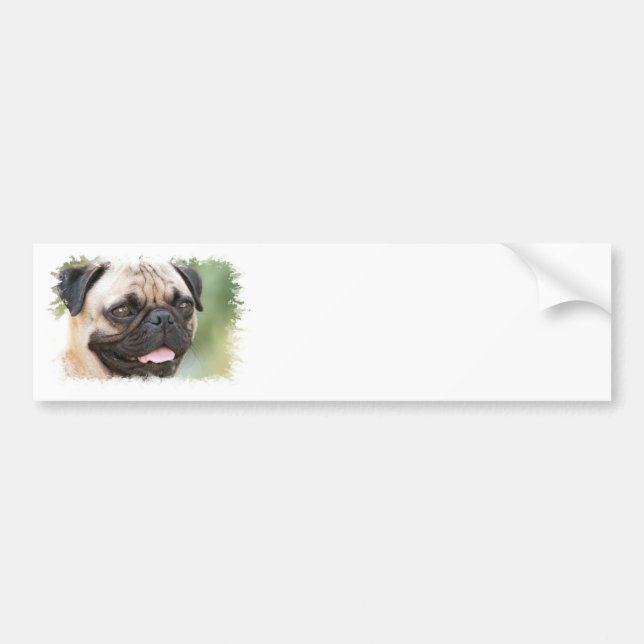 Mops-HundeAutoaufkleber Autoaufkleber (Vorne)