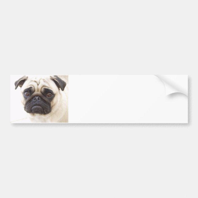 Mops-HundeAutoaufkleber Autoaufkleber (Vorne)