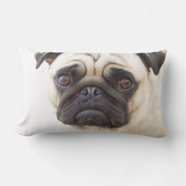 Mops-Hundekissen Lendenkissen (Vorderseite)