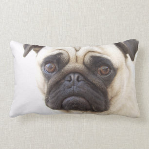Mops-Hundekissen Lendenkissen