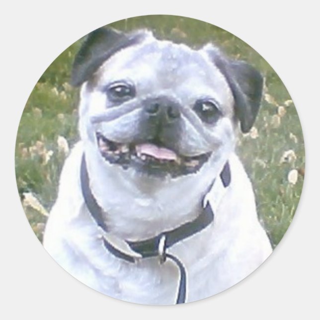 Mops-Hundekleber Runder Aufkleber (Vorderseite)