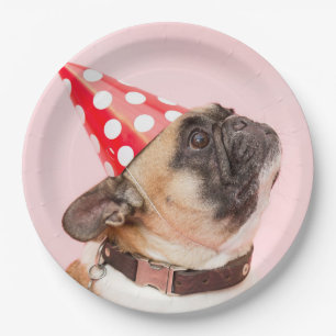 Mops-HundeParty-WegwerfpapierTeller Pappteller
