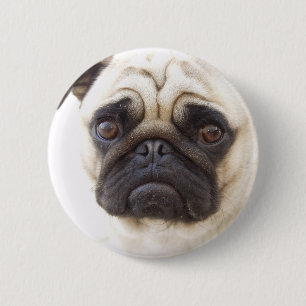 Mops-Hunderunder Knopf Button