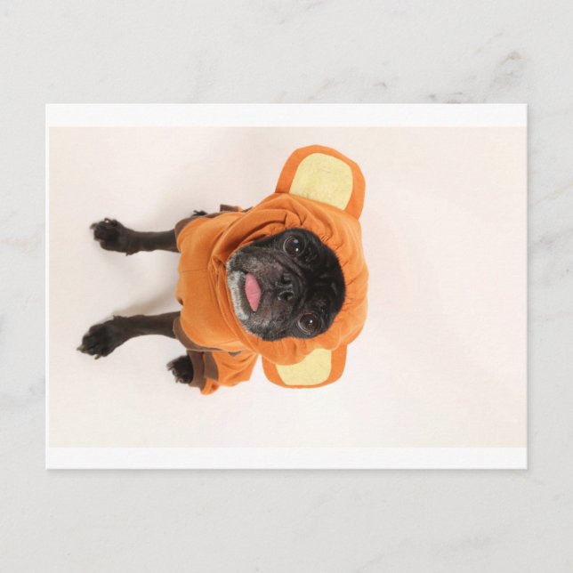 Mops in Affenkostümen Postkarte (Vorderseite)