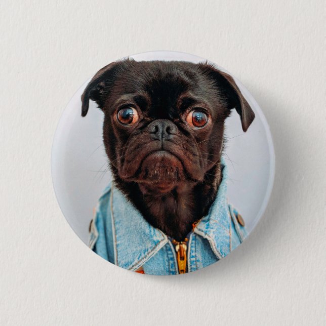 Mops in Denim Jackey Niedlich Adorable Doppy Puppy Button (Vorderseite)