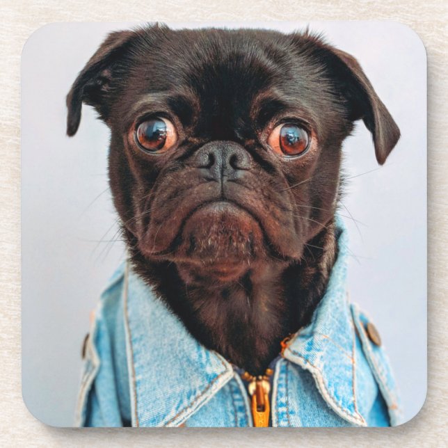 Mops in Denim Jackey Niedlich Adorable Doppy Puppy Getränkeuntersetzer (Vorderseite)