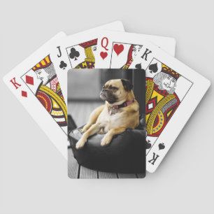 Mops in der Erholung Spielkarten