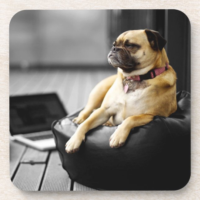Mops in der Erholung Untersetzer (Vorderseite)