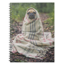 Mops in einem Blanket-Spiral-Notebook
