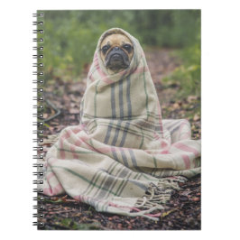 Mops in einem Blanket-Spiral-Notebook Notizblock